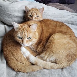 Meet your Posher, Marcelle